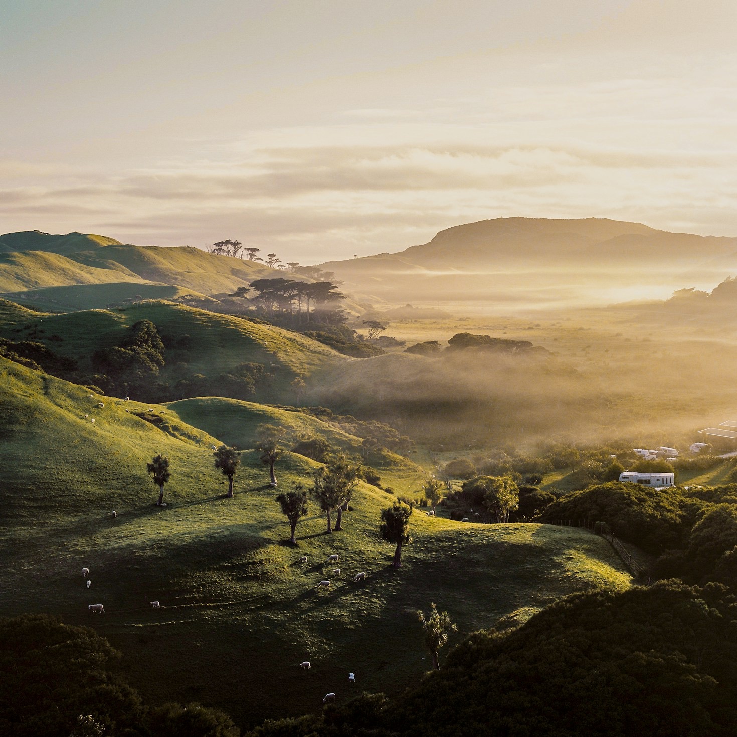 The Journey of Natural Wines from Vineyard to Glass